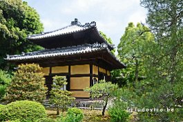 JAPAN2018_1538