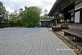 JAPAN2018_1797