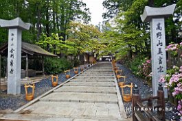 JAPAN2018_P1030845