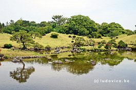 JAPAN2018_3752