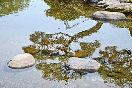 JAPAN2018_3767