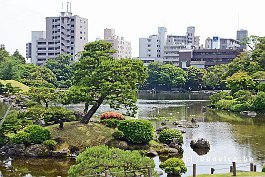 JAPAN2018_3778