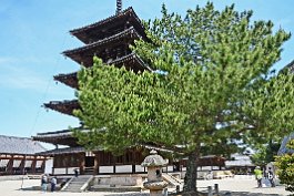 JAPAN2018_0484