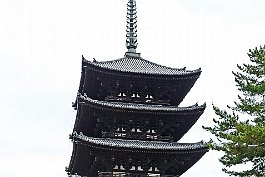 JAPAN2018_0544