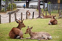 JAPAN2018_0780