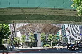 JAPAN2018_P1030152