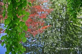 JAPAN2018_5543