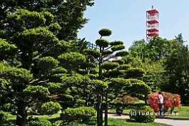 JAPAN2018_P8690267