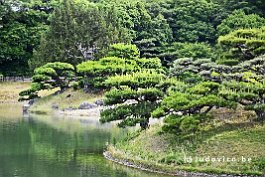 JAPAN2018_4640