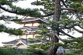 JAPAN2018_P8680175