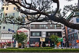 JAPAN2018_P8680182