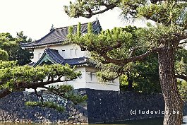 JAPAN2018_P8700175