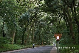 JAPAN2018_P8700812