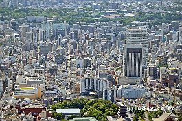 JAPAN2018_6936