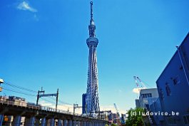 JAPAN2018_P1130029