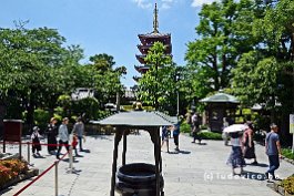 JAPAN2018_6724