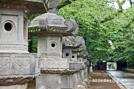 JAPAN2018_P8700569