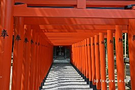 JAPAN2018_3797