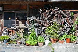 JAPAN2018_5379