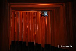 FUSHIMI_DSC_4294