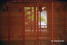 KYOTO_DSC6104