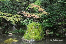 KYOTO_DSC6245