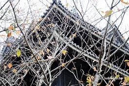 MATSUE_DSC2847
