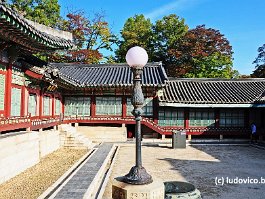 KOREA2017_DSC_4351