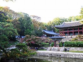 KOREA2017_DSC_4380