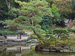 KOREA2017_DSC_4393