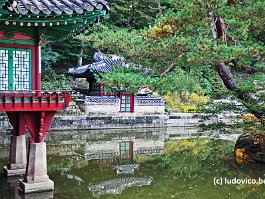 KOREA2017_DSC_4395