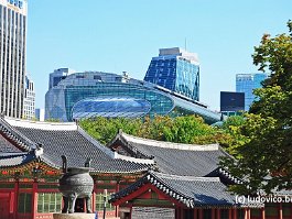 KOREA2017_DSC_4198