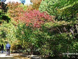 KOREA2017_DSC_4279