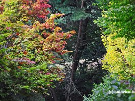 KOREA2017_DSC_0695