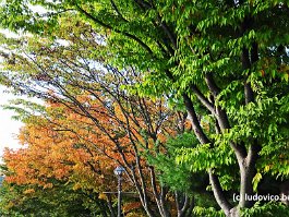 KOREA2017_DSC_0697