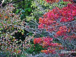 KOREA2017_DSC_0701