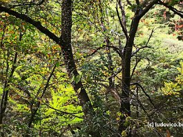 KOREA2017_DSC_0703