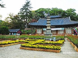 KOREA2017_DSC_0729