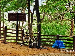 KOREA2017_DSC_0819