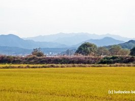 KOREA2017_P1320284