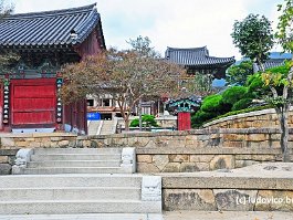 KOREA2017_DSC_1279