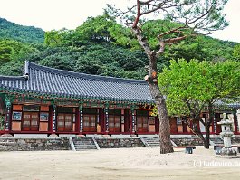 KOREA2017_DSC_1283