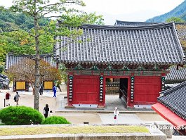 KOREA2017_DSC_1337