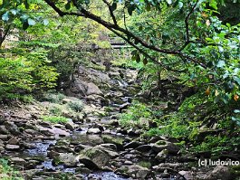 KOREA2017_DSC_1042