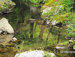 KOREA2017_DSC_1050