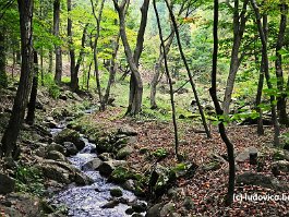 KOREA2017_DSC_1066