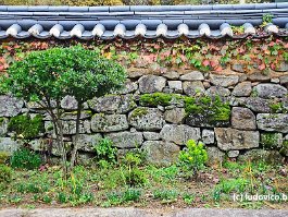 KOREA2017_DSC_1163