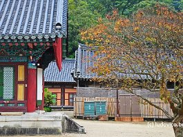 KOREA2017_DSC_1177