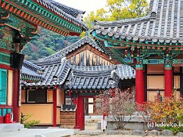 KOREA2017_DSC_1399