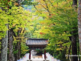 KOREA2017_DSC_1465